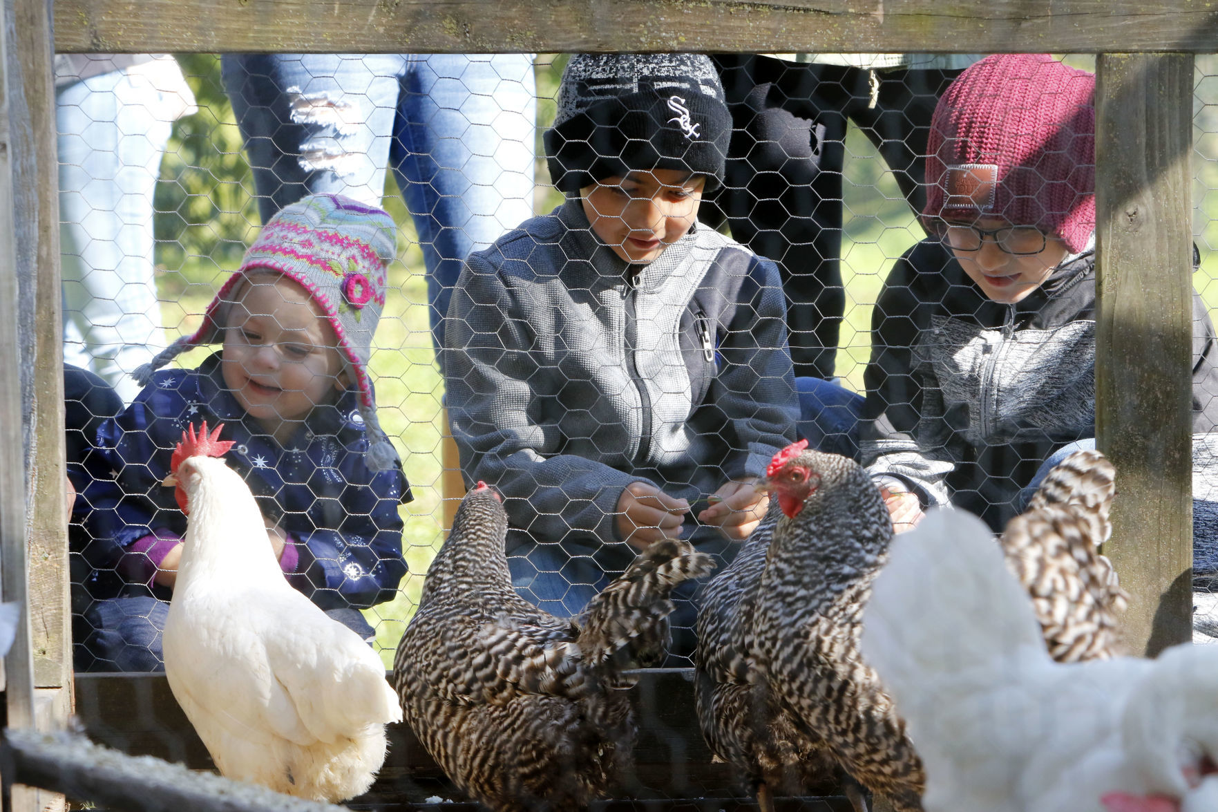 Buckley Homestead Fall Festival